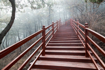 Naklejka na ściany i meble The wooden steps in the forest disappeared in the thick fog