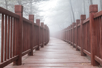 The wooden steps in the forest disappeared in the thick fog