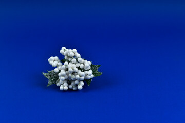Mały bukiet jasnych kwiatków na niebieskim tle.