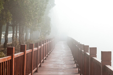 The wooden steps in the forest disappeared in the thick fog
