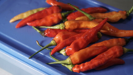 Fresh and moist red chilies. Some are orange and yellow