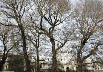 Exterior of the Brighton Royal Pavillion,partially obscured and semi silhouetted by abstract shapes of winter trees.East Sussex,England,United Kingdom.