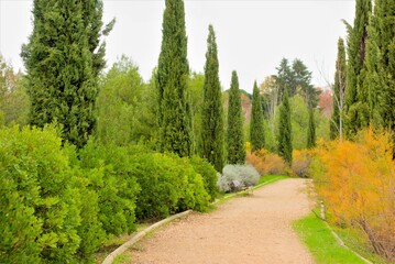 path in the park  with high trees around, nature, park, spring, 