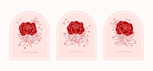 Set of hand drawn vintage pink botanical rose flower illustration and leaf branch elements for feminine logo and beauty brand