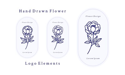 Set of hand drawn vintage botanical rose flower, peony illustration and leaf branch elements for feminine logo and beauty brand