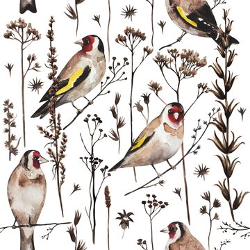 Seamless vintage pattern with goldfinch birds and autumn dry plants and flowers. Watercolor painting