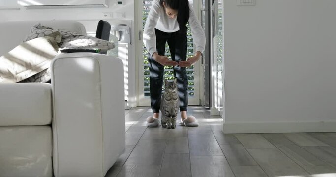 young woman makes her cat jump