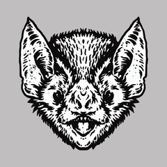 Animal Bat Graphic Illustration Vector Art T-shirt Design