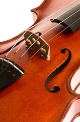 Violin.