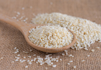 White sesame in a wooden spoon.