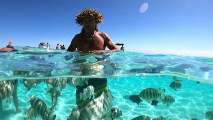 Sting ray and tropical fish swim next to a tour guide, tourist snorkeling. Moorea, Tahiti French Polynesia. Honeymoon activities on tropical island - snorkeling and diving tour.
