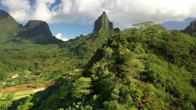 Drone 4k Tahiti. Tropical green jungle forest in Moorea, French Polynesia. Mount Rotui landscape, mountain nature. Exotic travel vacation getaway, romantic honeymoon destination.