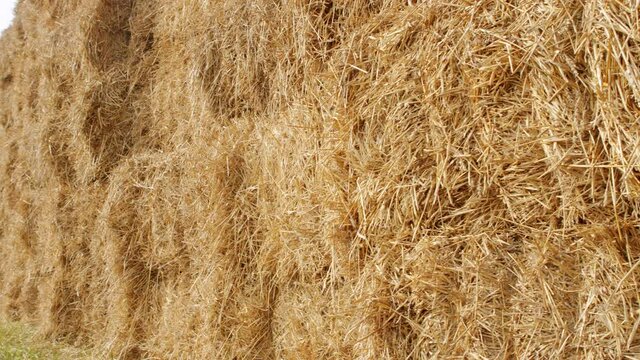 Hay parallelepipeds well stacked on each other.