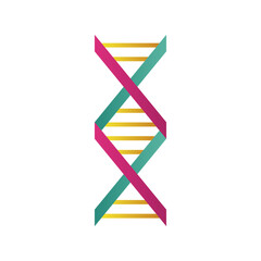 dna molecule structure isolated icon