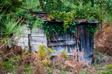 wooden hut at the bottom of the garden