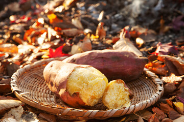 焚き火の焼き芋