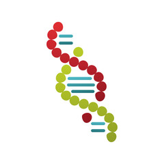 dna molecule structure isolated icon