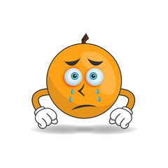 Orange mascot character with sad expression. vector illustration