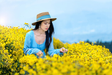 Pretty girl enjoying in chrysanthemums field in Chiang mai, Thailand.