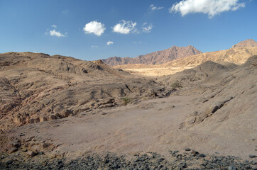 Desert of Sinai Peninsula, Egypt. Near Sharm El Sheikh