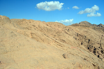Fototapeta na wymiar Desert of Sinai Peninsula, Egypt. Near Sharm El Sheikh