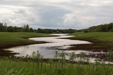 landscape with river and grass, winding river and cloudy sky