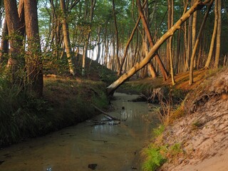 River in Orzechowo flowing into Baltic Sea