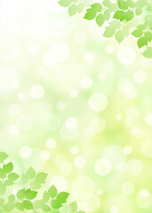 Fototapeta premium 【キラキラ背景画像素材】新緑と木漏れ日の背景 縦位置 はすむかい