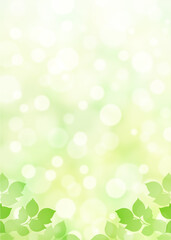 Fototapeta na wymiar 【キラキラ背景画像素材】新緑と木漏れ日の背景 縦位置 下