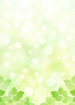 【キラキラ背景画像素材】新緑と木漏れ日の背景 縦位置 下