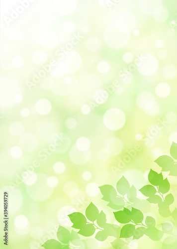 キラキラ背景画像素材 新緑と木漏れ日の背景 縦位置 右下 Background Wall Mural Backgrou Kinusara