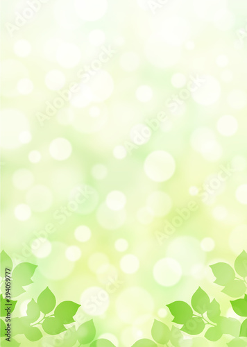キラキラ背景画像素材 新緑と木漏れ日の背景 縦位置 下 Background Wall Mural Backgrou Kinusara