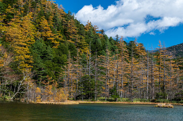 晴天の上高地 黄葉の山々と明神池