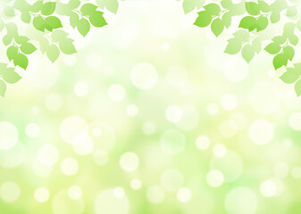Fototapeta na wymiar 【キラキラ背景画像素材】新緑と木漏れ日の背景 横位置 上