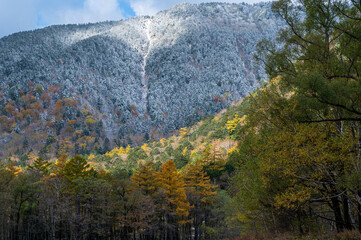 晩秋の上高地 黄葉の山肌と雪化粧のコラボレーション