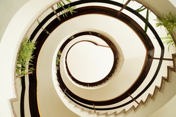 Looking up to a symmetrical winding white staircase with a wooden railing and greenery