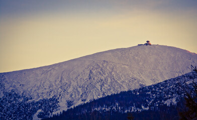 Śnieżka zimową porą