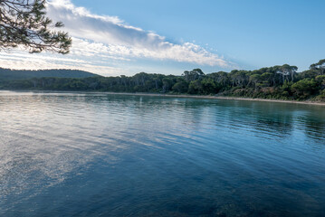 Discovery of the island of Porquerolles in summer. Deserted beaches and pine trees in this landscape of the French Riviera
