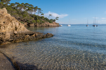 Obraz premium Discovery of the island of Porquerolles in summer. Deserted beaches and pine trees in this landscape of the French Riviera