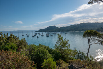 Discovery of the island of Porquerolles in summer. Deserted beaches and pine trees in this landscape of the French Riviera