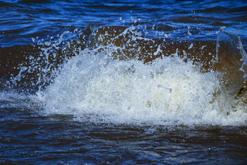Fototapeta premium waves run onto the shore and crash against the rocks, creating many splashes and splashes near the shore. river surf in stormy weather near a stone pebble coast with foamy splashing waves.