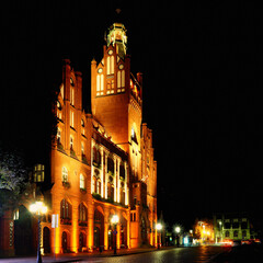 Naklejka premium Townhall at night