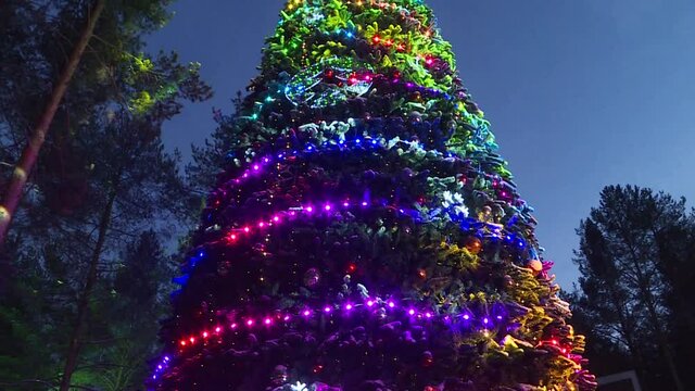 New year's fireworks on the Christmas tree in the Patrimony of Santa Claus.