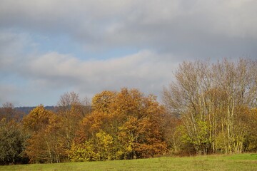 Herbstlandschaft