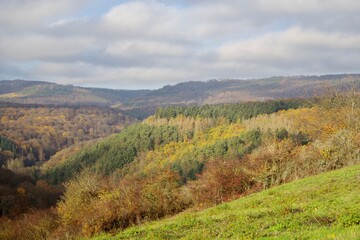 Fototapeta na wymiar Herbst im Rheingau