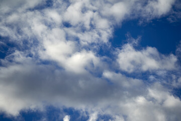Frequent clouds species against a blue sky, full screen Cumulus genus.
