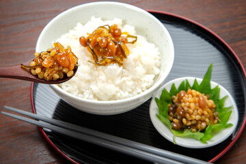 阿蘇の郷土食、醤油の実と御飯