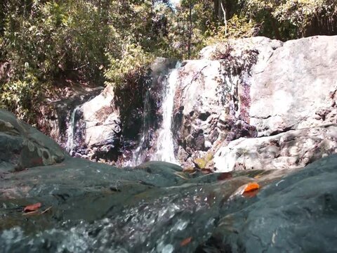 Salakot Falls in the jungle of Palawan Island. Philippines
