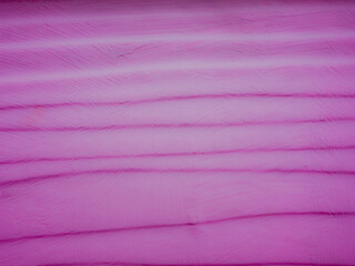 Blur and soft image of pink wooden wallpaper. for sweet background or valentine day.