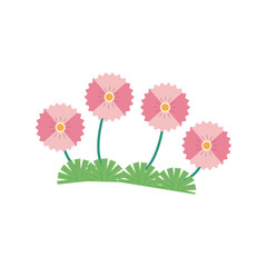 pink color flowers garden flat element